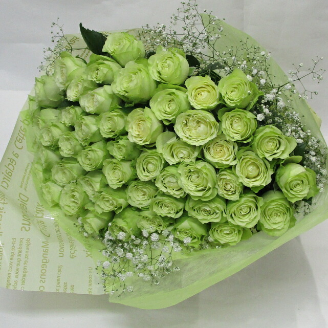 seasonbunch100n_top.jpg
