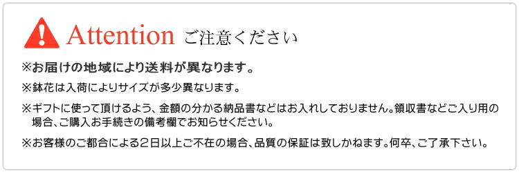 観葉植物 ストレチア レギネ 6号 お中元 開店祝い 新築祝い 誕生日 花言葉 輝かしい未来 寛容 Giosenglish Com