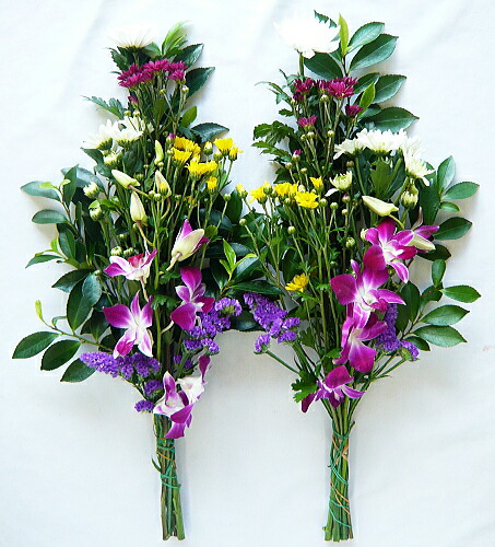 全能クレンザー キレイ 魔術原液 作り手直送項目 チャージ引き立て不可 同 束不可