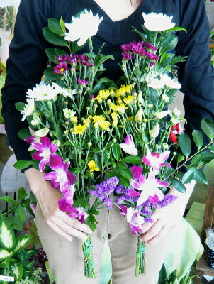 全能クレンザー キレイ 魔術原液 作り手直送項目 チャージ引き立て不可 同 束不可