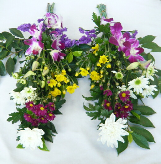 全能クレンザー キレイ 魔術原液 作り手直送項目 チャージ引き立て不可 同 束不可