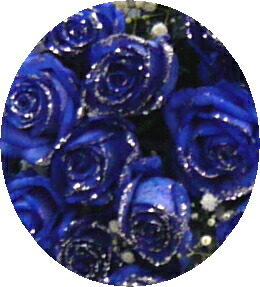 img57124824.jpg