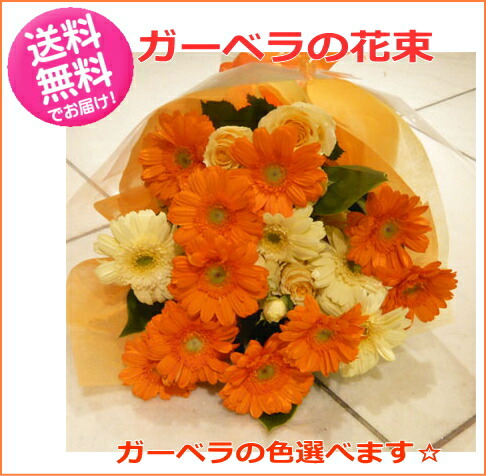 楽天市場】【生花】【さぎやま】ガーベラ オレンジケーキ