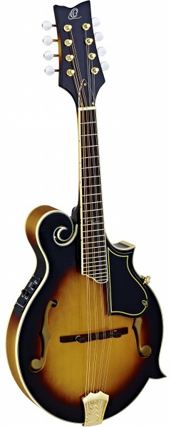 楽天市場】送料無料・ハードケース付き！Aria アリア / AM-40 Mandolin フラットマンドリン【smtb-tk】 : bloomz 楽器  web shop