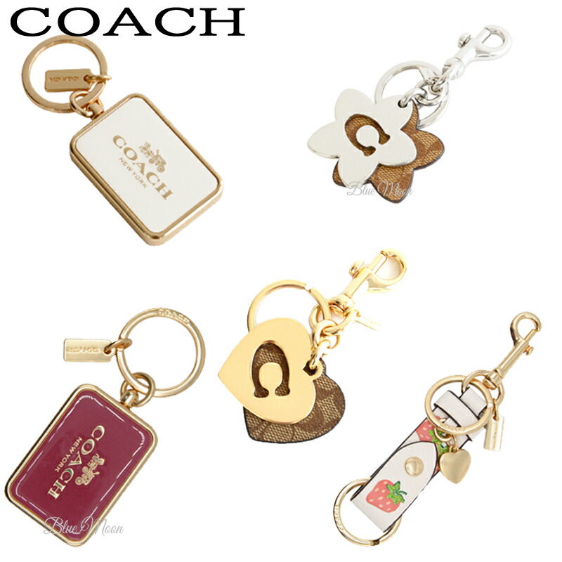 楽天市場】【単品購入用/メール便送料無料】コーチ COACH 正規箱と紙袋のセット ギフト ラッピング セット 小物用 : ブルームーン