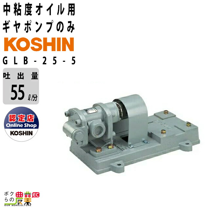 ギャードモーター付ポンプ(ギャーエス工業製) 未使用】工進 KOSHIN GC-20-AAA ギヤーポンプ【ハンズクラフト佐賀】