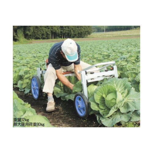 ハラックス ナエッコ 乗用植付け・収穫兼用作業車 NKH-600S