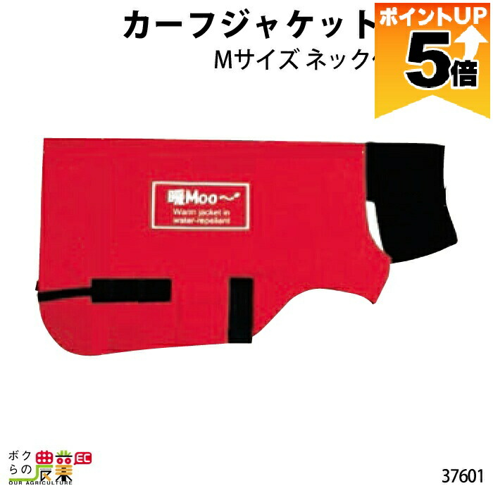 暑さに負けない！稼穡用かっこ良い気違いのご引き合わせる