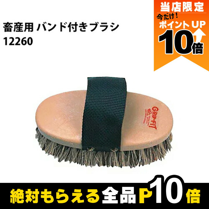 グジ♪ 楽天市場】【全商品ポイント10倍！8/24 20時〜楽天マラソン限定