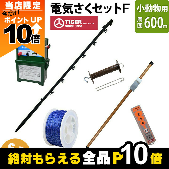 【中古】 しっかりせんかいタイガース！！/鹿砦社/鹿砦社 中古】 しっかりせんかいタイガース！！/鹿砦社/鹿砦社 中古