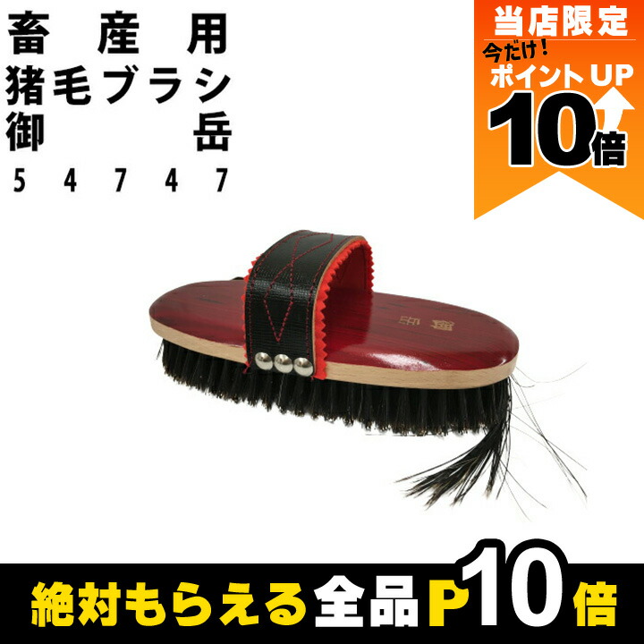 楽天市場】【全商品ポイント10倍！8/24 20時〜楽天マラソン限定