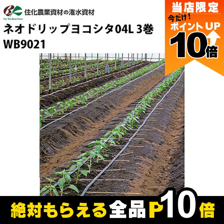 楽天市場】【全商品ポイント10倍！8/24 20時〜楽天マラソン限定