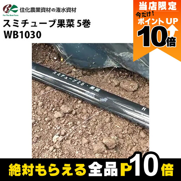 楽天市場】【全商品ポイント10倍！8/24 20時〜楽天マラソン限定