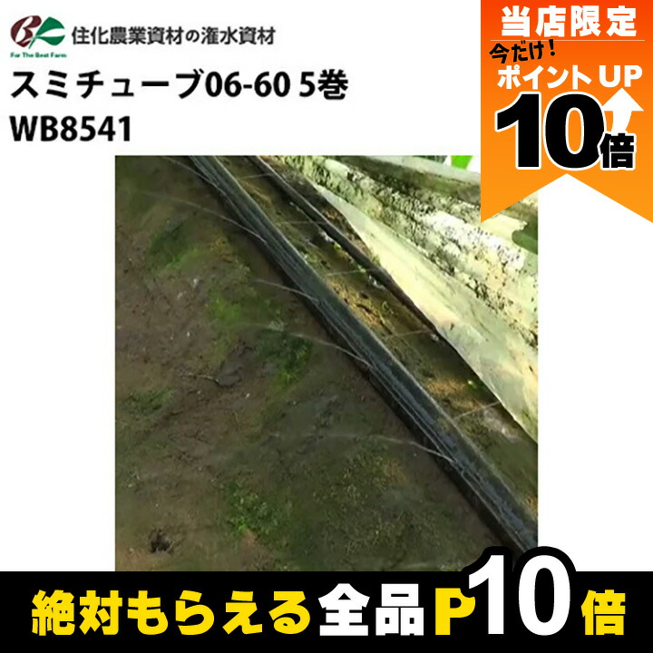 楽天市場】【全商品ポイント10倍！8/24 20時〜楽天マラソン限定