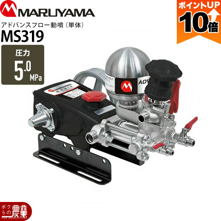 楽天市場】【ポイント10倍！スーパーセール限定】2026年1月上旬入荷