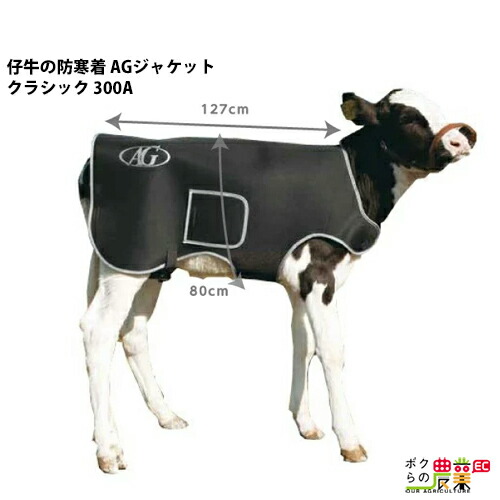 楽天市場】【全商品ポイント10倍！楽天スーパーセール限定☆要