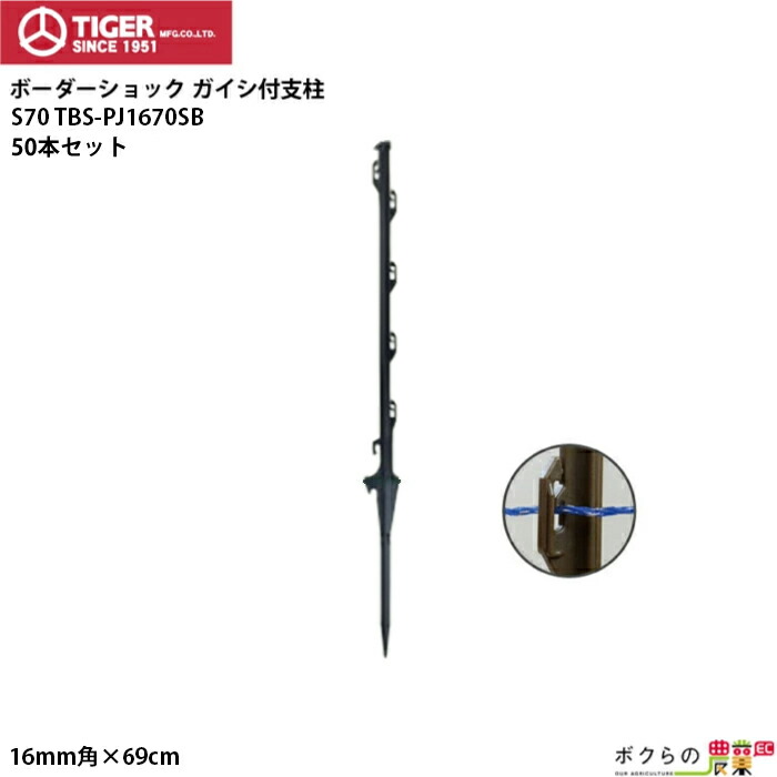 楽天市場】【12/1〜12/31開催！当選確率1/2☆最大100%P還元！要