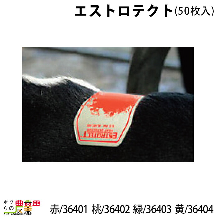 畜産用 エストロテクト 50枚入 赤 36401 桃 36402 緑 36403 黄 36404 発情発見 発情器具 牧畜 産業動物 家畜 畜産用品 17,847円