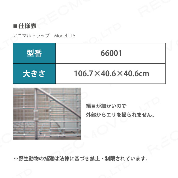 2021新発 アニマルトラップ Model LT5 66001 小型野生動物捕獲トラップ 罠 アライグマ ヌートリア 畜産用品 酪農用品  whitesforracialequity.org