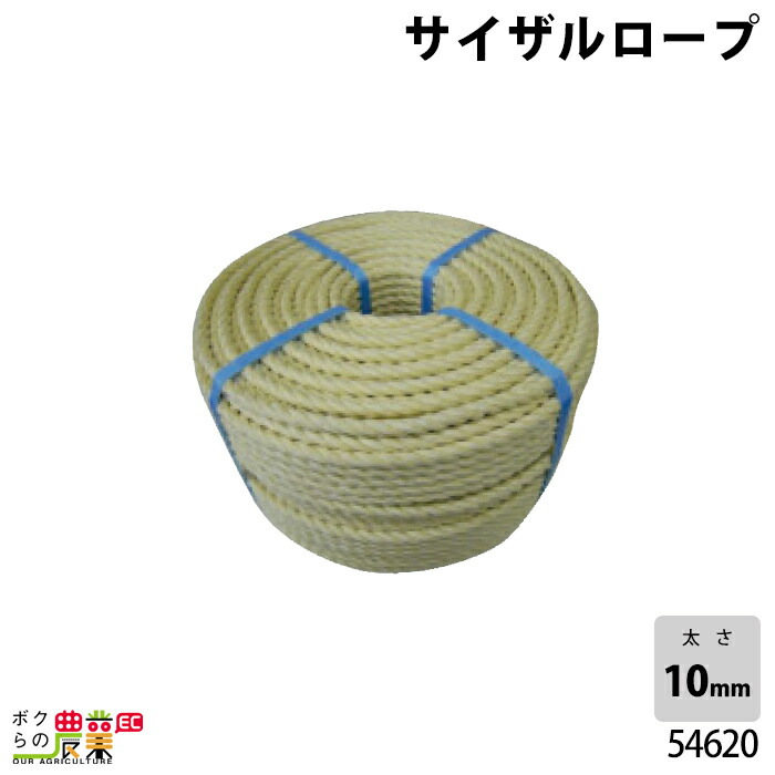 暑さに負けない！農作用かっこ良い信奉者のご引き合わせる