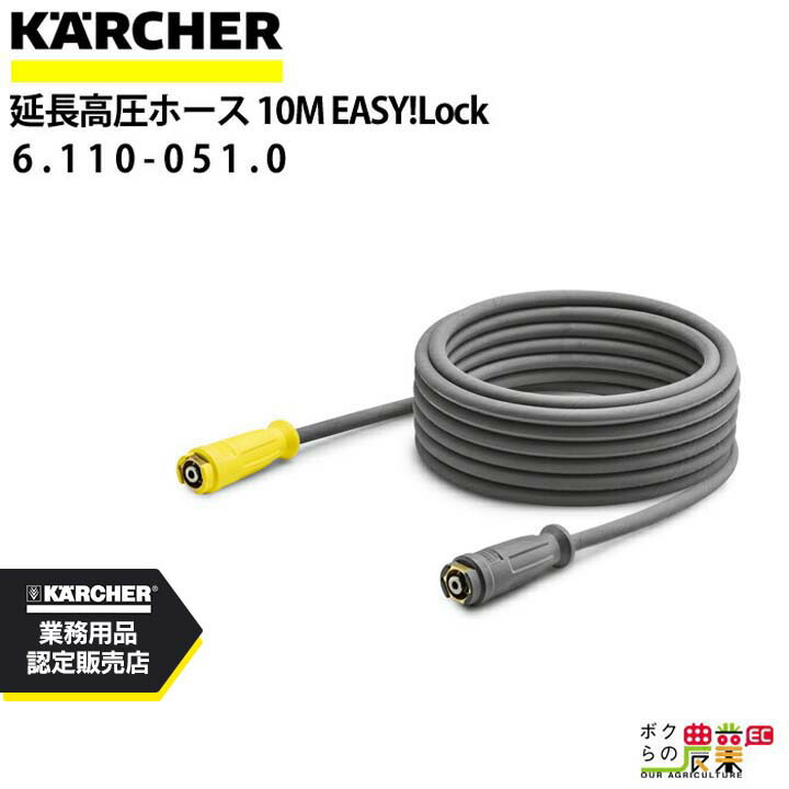 ケルヒャー 高圧ホース 10m ID 8mm 6.110-051.0 ねじれ防止機能付 アクセサリ KAERCHER【EASY!Lock 対応】
