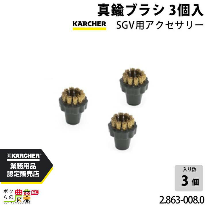 ケルヒャー 真鍮ブラシ 2.863-008.0 SGV用アクセサリー 3個入 アクセサリー 部品 交換 KAERCHER