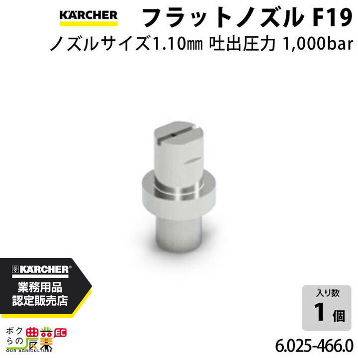 ケルヒャー フラットノズル20度 6.025-466.0 高圧洗浄機用 ノズルサイズ 110 KAERCHER【EASY!Lock 非対応】 17,705円