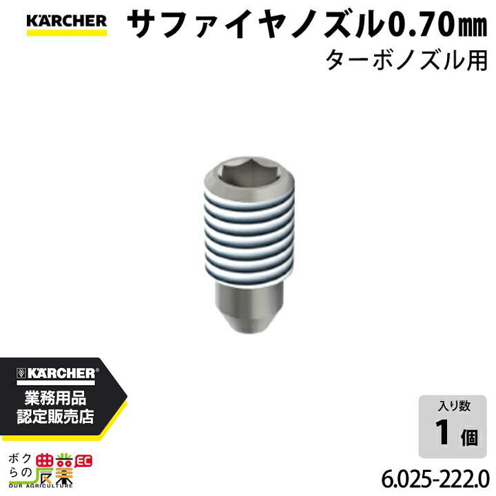 ケルヒャー ノズル 6.025-222.0 サファイヤ ノズル アクセサリ ノズル 部品 KAERCHER
