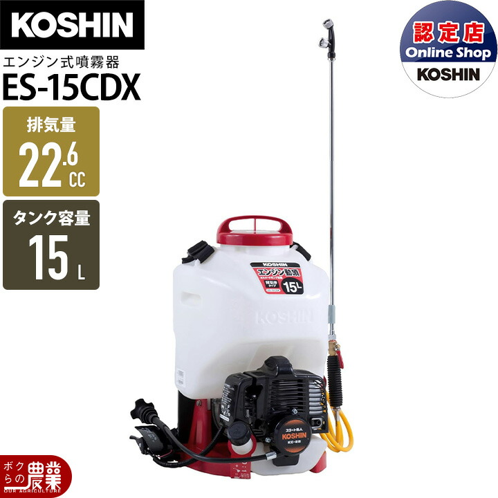 楽天市場】【12/1〜12/31開催！当選確率1/2☆最大100%P還元！要