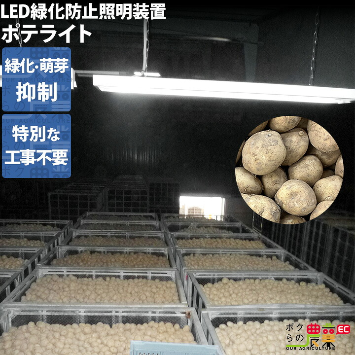 暑さに負けない！畑作用かっこ良い気違いのご引き合わせる