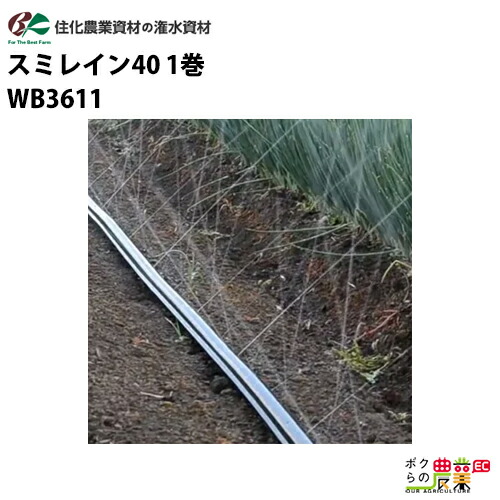 スミレイン 40 100m巻　散水ホース 黒 灌水ホース スミレイン 40 100m巻×1 住化農業資材 WB3611 : ザ