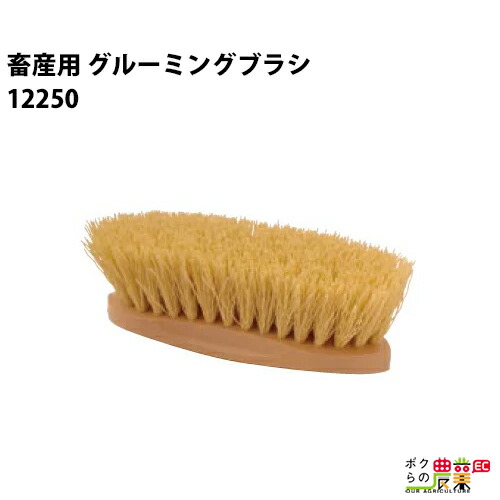 楽天市場 畜産用 グルーミングブラシ フケ 脱毛落とし ブラシ 畜産 酪農 牧畜 産業動物 牛 家畜 畜産用品 酪農用品 業務用 農業 農作業 ボクらの農業ec楽天市場店