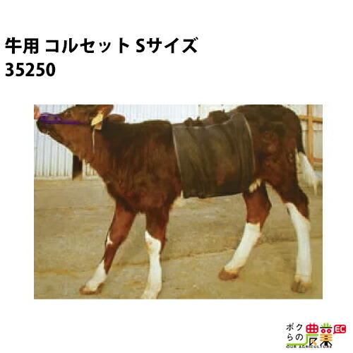 牛用 コルセット Sサイズ 35250 畜産 酪農 牧畜 産業動物 牛 家畜 畜産用品 酪農用品 業務用 農業 農作業