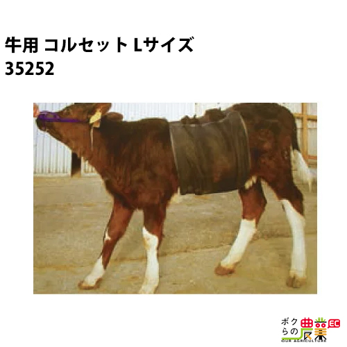 畜産用 哺乳ビン 3L 和牛用 24151 畜産 酪農 牧畜 産業動物 牛 豚 養豚