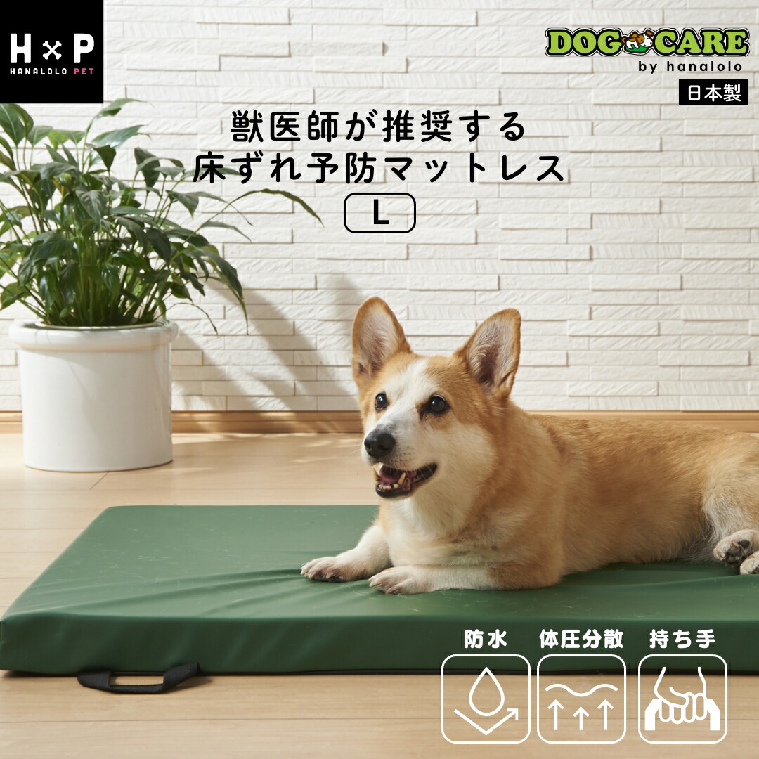 dog-1_1.jpg