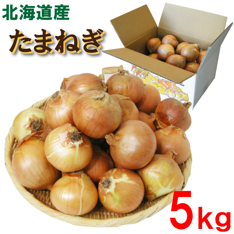 北海道産 たまねぎ 約５kg 送料込み タマネギ 買いおき 業務用 家庭用 まとめ買い 玉ねぎ