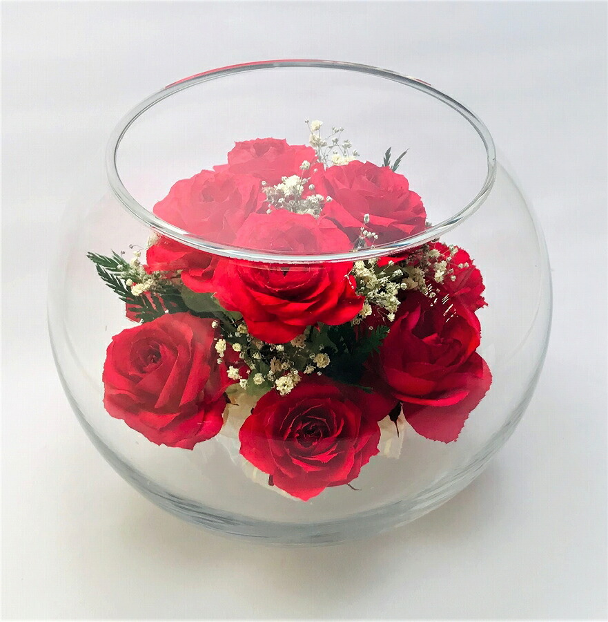 超美品 楽天市場 母の日 プリザーブドフラワー 送料無料ピュアフラワー バラ 赤 P Msr 2 Red ボトルフラワー 母の日 誕生日 記念日 敬老の日 ギフト 結婚祝い 開店祝い プレゼント 花 ギフト Gift バースデー こだわりスイーツ ギフト エニシダ 安い Www Entraide Ma