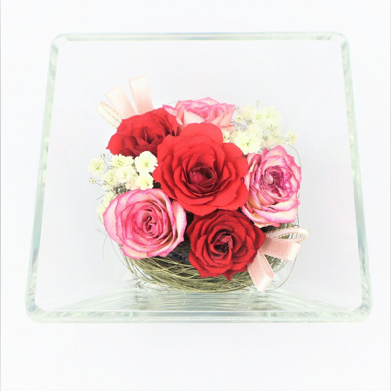 マザーの年代 プリザーブドフラワー 貨物輸送無料純潔フラワー ローズ 真赭 P Ms 6 Red 瓶フラワー 母の日 生出日 祝する日 敬老の日 配り物 婚礼お祝い 開店祝い 与え 頂点 ギフト Gift 誕生日 母の日 送料無料 プリザーブドフラワー 心魂和み 医する 内装 として お間の