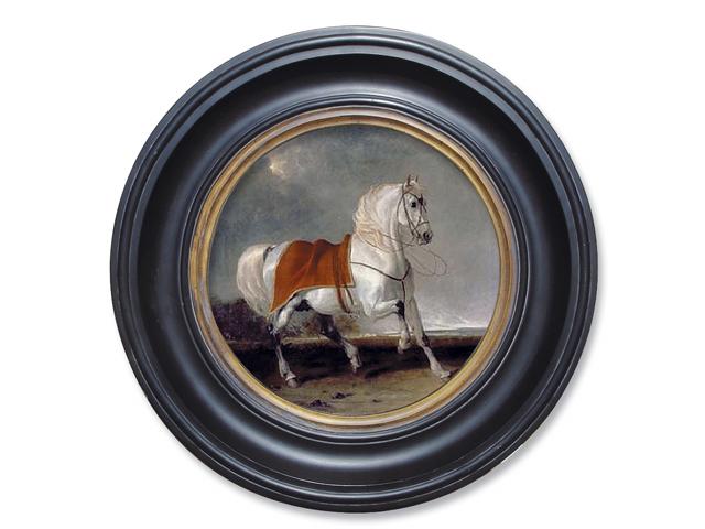 オレオグラフ　PORTHOLE 舷窓　ARAB HORSE　PH2848