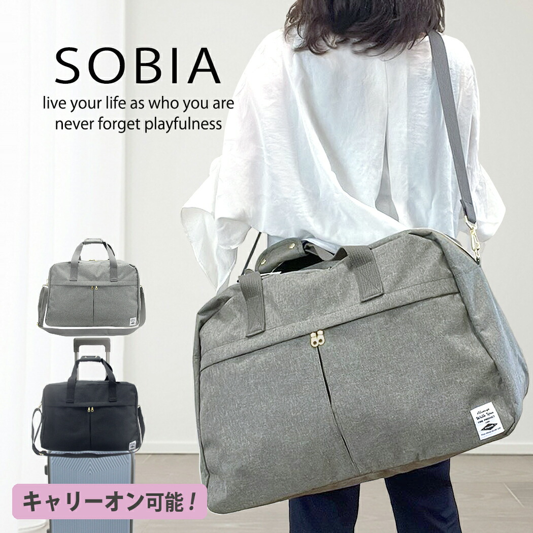 ダンヒル ビジネスバッグ キャリーオンバッグ 2way ショルダーストラップ 美品 ダンヒル 2way ビジネスバッグ ブリーフケース キャリーオン 斜め