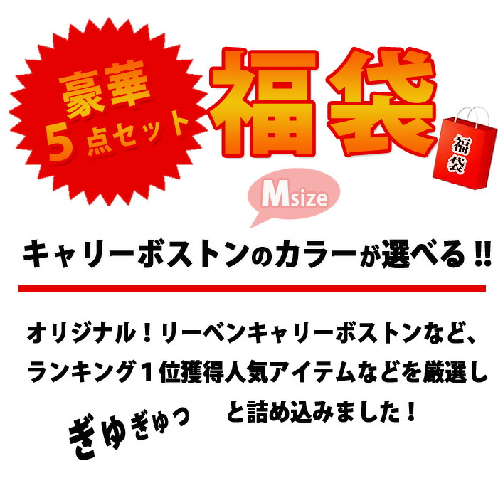 福袋 15 000円 リーベン 312 キャリーボストン リュック サコッシュ ビジネスバッグ パスケース 超豪華 点セット 人気 ランキング 位獲得 送料無料 Painfreepainrelief Com