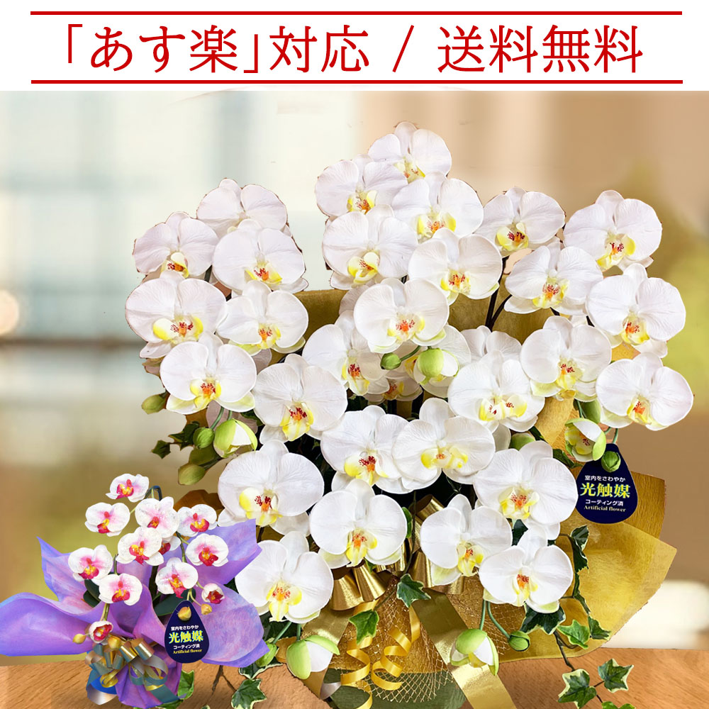 150丸形off引換証客体 寿 ボール 蘭 最盛期 蝴蝶蘭 造花 開店 開業 開院 5作品 電気触媒 白 黄色信号 白人種 黄 アイビー Midi 内祝い 生みだす がせ 内装 お洒落 礼物 贈物 生出日時 木札 母君の日 サマーギフト お中元 おショッピッングマラソン