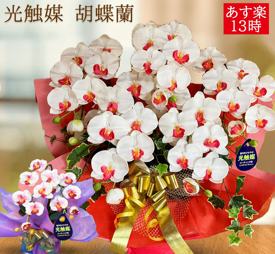55 以上節約 楽天市場 まだ間に合う 母の日お届け 本日 5 6木13時まで 母の日プレゼント らん ギフト 胡蝶蘭 花 紅白 ワイン ホワイト お祝い 孫 造花 即日出荷 開店 開業 誕生日 古希 米寿 還暦 傘寿 白寿 百寿 ミディ ミニ コチョウラン 木札 ココキャン