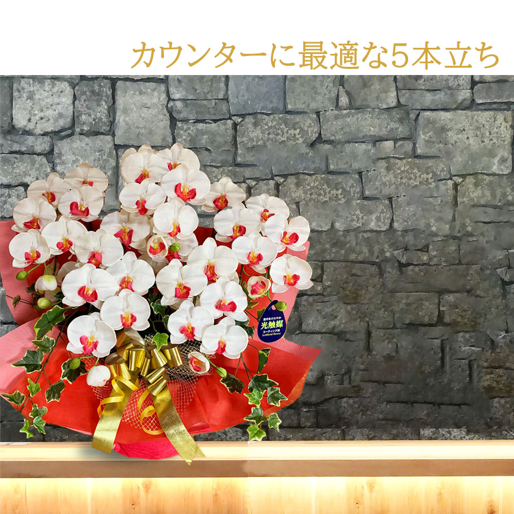 55 以上節約 楽天市場 まだ間に合う 母の日お届け 本日 5 6木13時まで 母の日プレゼント らん ギフト 胡蝶蘭 花 紅白 ワイン ホワイト お祝い 孫 造花 即日出荷 開店 開業 誕生日 古希 米寿 還暦 傘寿 白寿 百寿 ミディ ミニ コチョウラン 木札 ココキャン