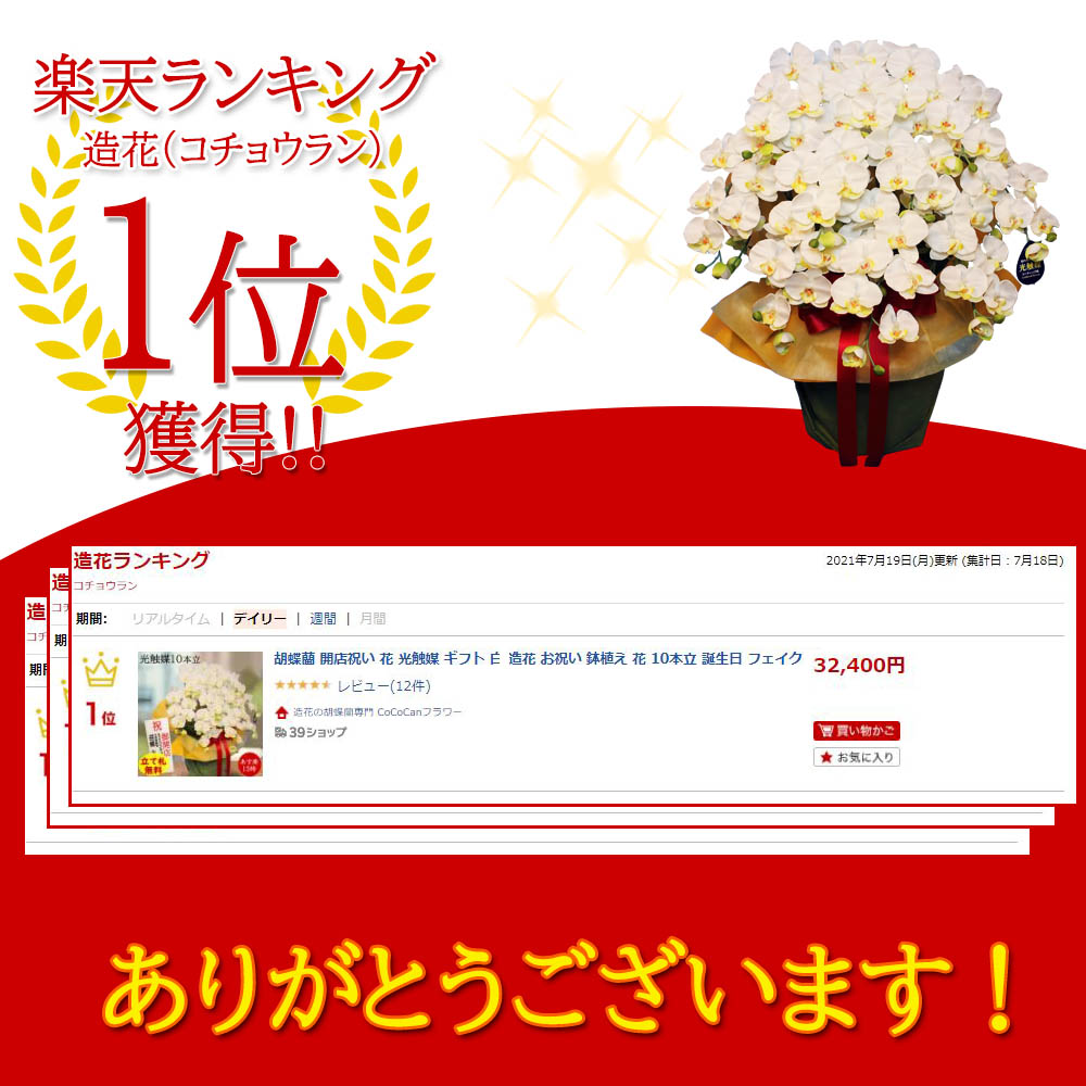 1 500円offクーポン対象 胡蝶蘭 開店祝い 花 光触媒 ギフト 白 造花 お祝い 鉢植え 花 10本立 誕生日 フェイク かわいい サロン プレゼント 古希 大きい 開院 開業 就任 会社設立 退職 移転 引越し 70代 80代 90代 100歳 Doorsinmotioninc Com