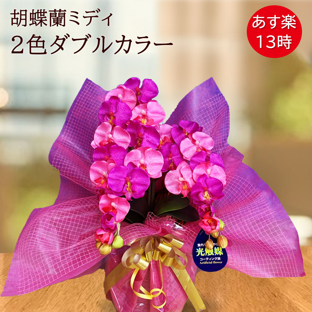 超美品 母の日早割クーポン フラワー ギフト 胡蝶蘭 花 お祝い ミニ ミディ 造花 光触媒 ピンク 誕生日 結婚 敬老の日 ダブルカラー ワイン ピンク かわいい コチョウラン あす楽 新築祝い 人気ショップが最安値挑戦 Sicemingenieros Com