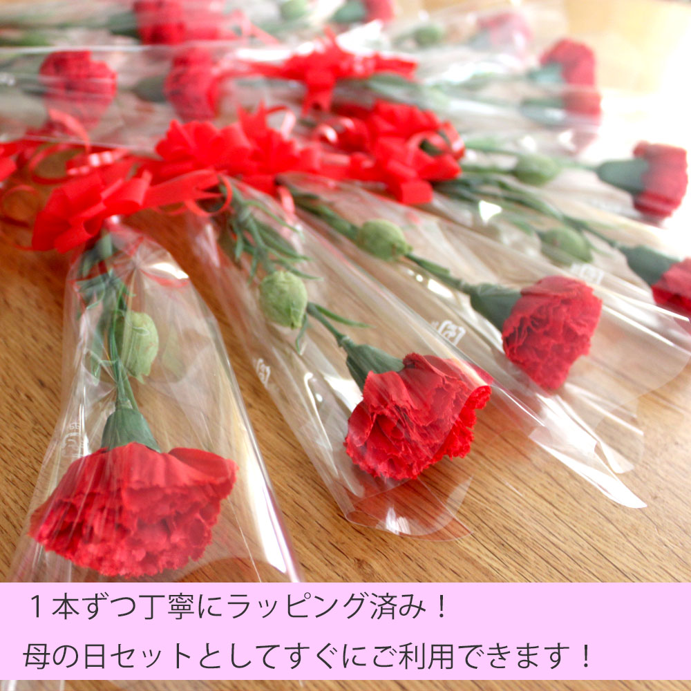 6 15ポイント10倍 造花 ラッピング カーネーション 30本 セット メッセージカード ノベルティ 資材 梱包 業務用 プレゼント 大量 仕入れ 店舗 販促 1輪 送料無料 つぼみ付き ココキャンフラワー Massage Mit Herz De