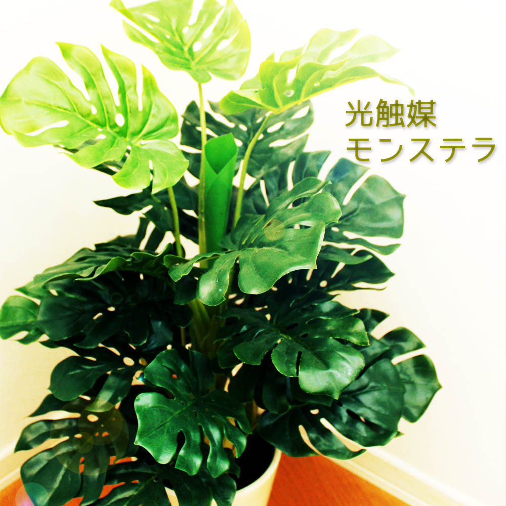モンステラ 人工観葉植物 開店祝い フェイクグリーン 父の日ギフト 引越し祝い 造花 光触媒 鉢植え インテリア おしゃれ お祝い 開業 開院 移転 法人 造花 シンプル 水やり不要 室内 枯れない 玄関 オフィス リビング まだ間に合う お父さん 書斎 Fmcholollan Org Mx