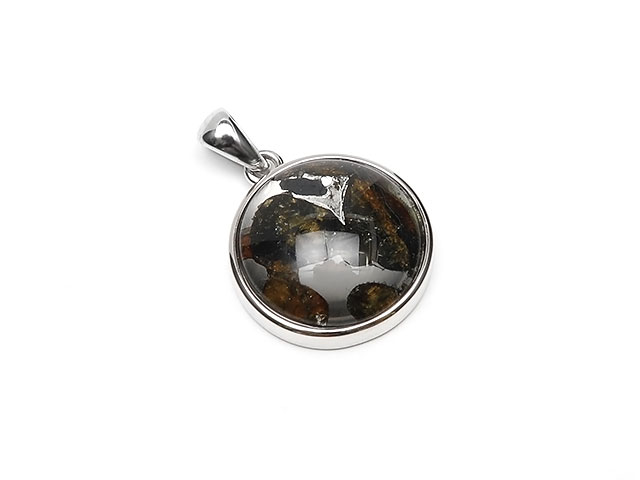 楽天市場】ケニア産 パラサイト セリコ隕石 ペンダントトップ 24×17mm