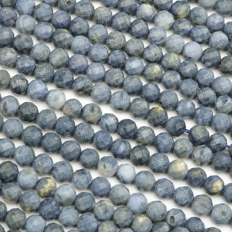 楽天市場】ブルーコーラル（青珊瑚） 丸玉 6mm【1連販売】▽ コーラル